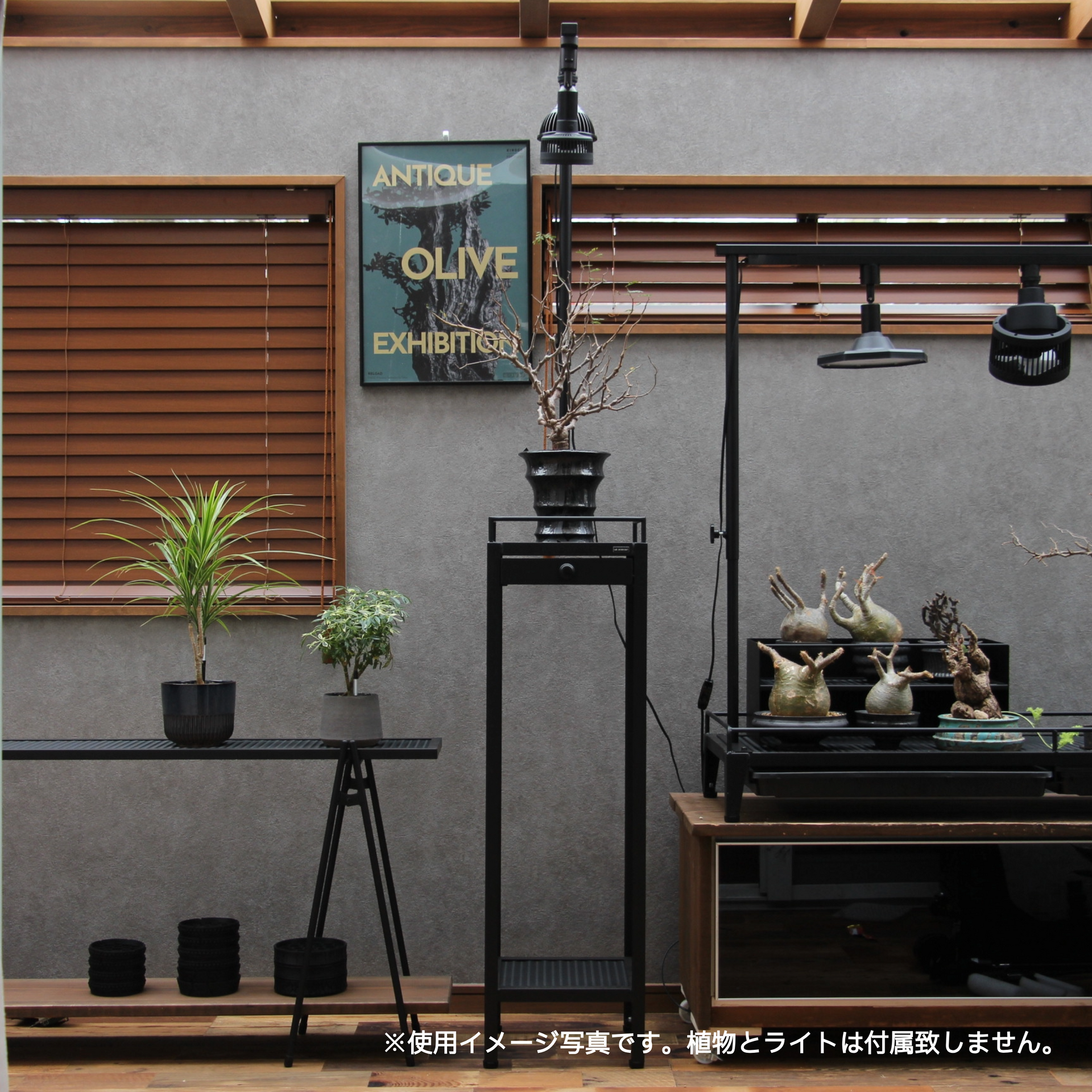 DISPLAYSTAND ～ディスプレイスタンド～