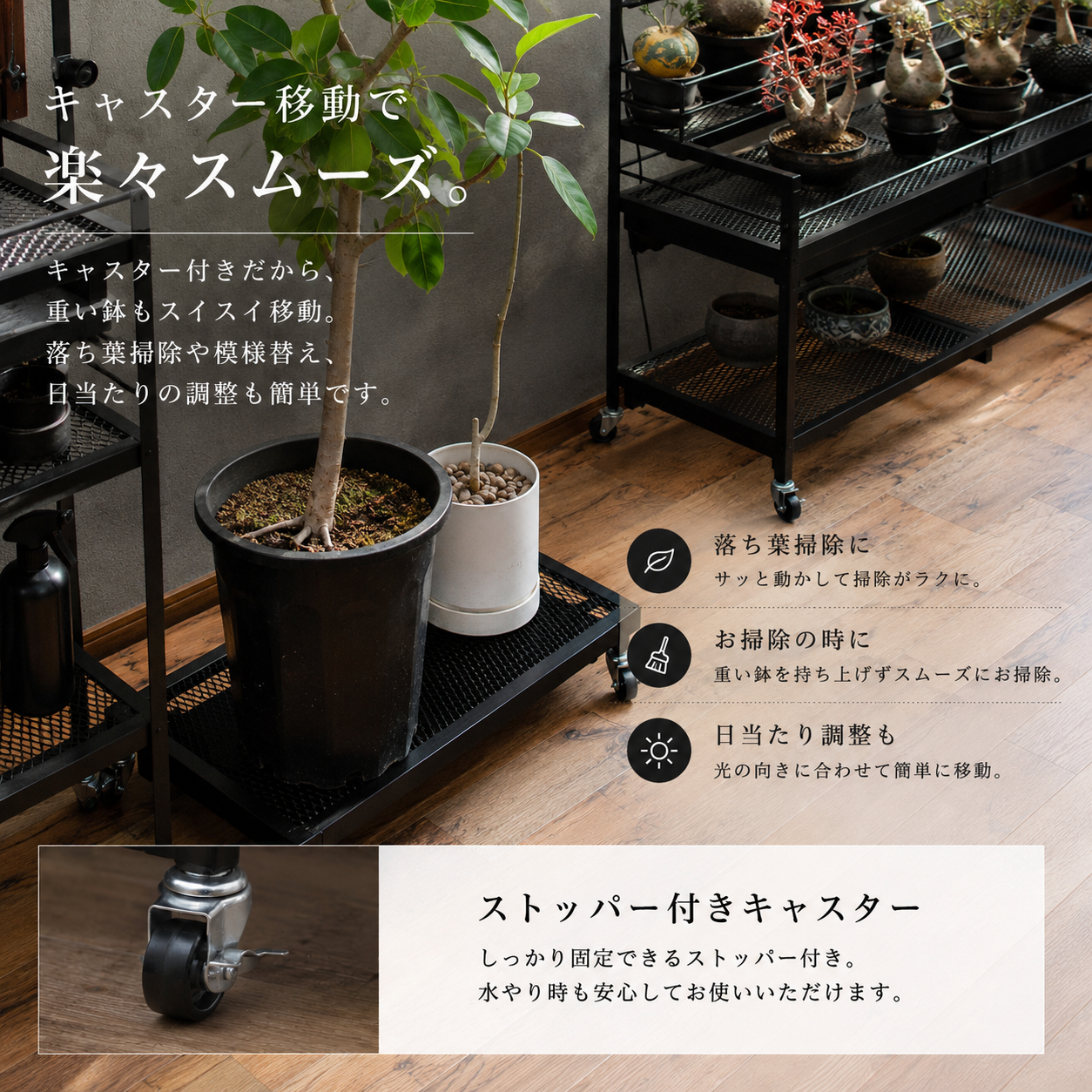 Plants Dolly～プランツ・ドリー～(予約販売品)
