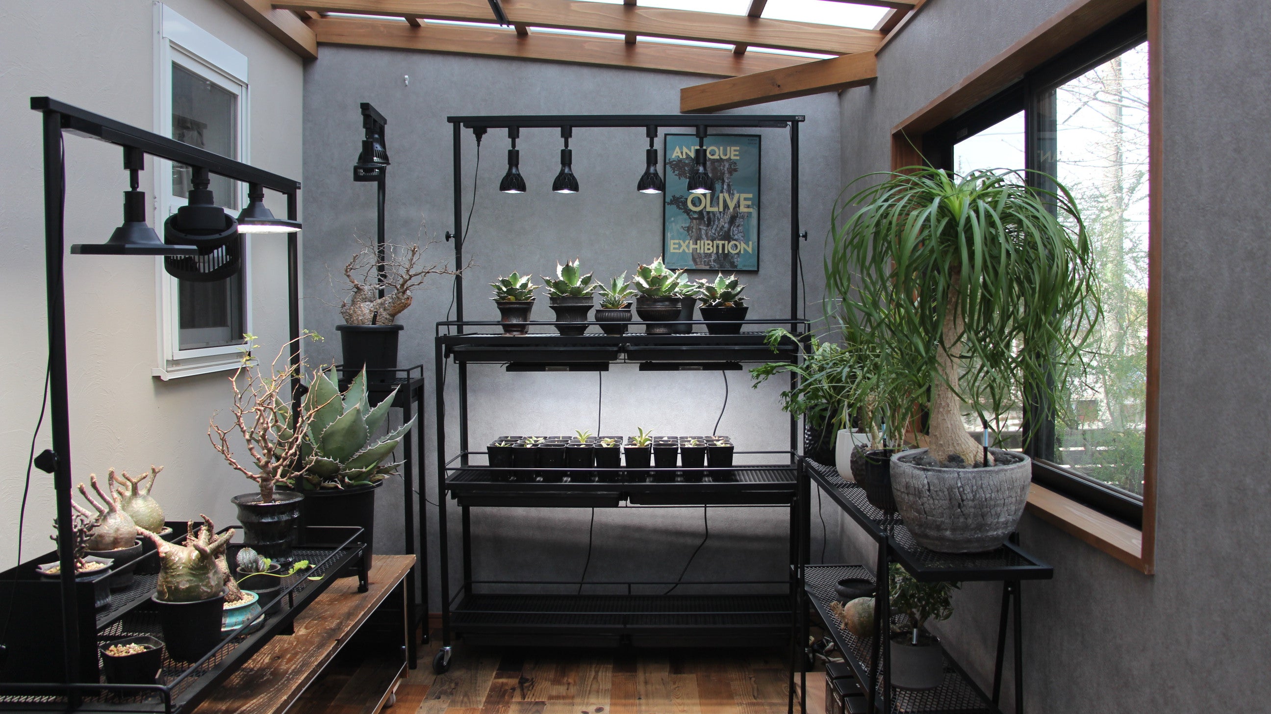 【お得】室内植物育成セット LIM AIRON CRAFT 水受けトレー付き1段植物棚(W920×D300×H130mm)スターターセット