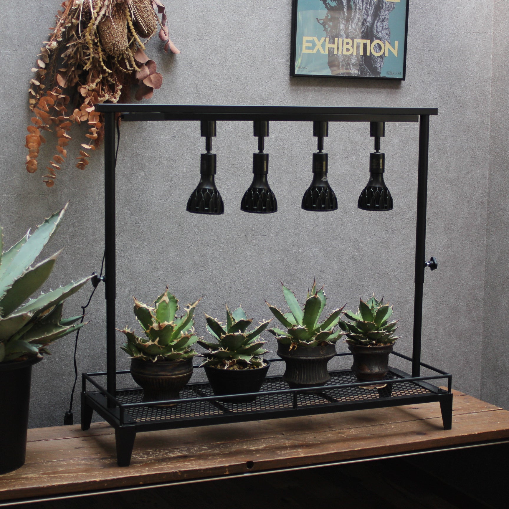 mini植物棚