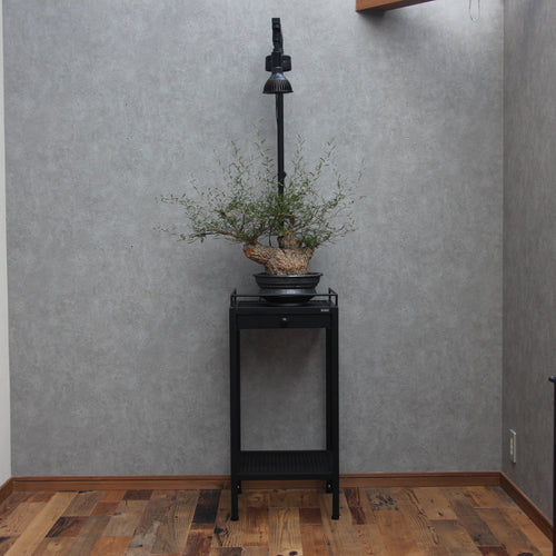 DISPLAYSTAND　～ディスプレイスタンド～