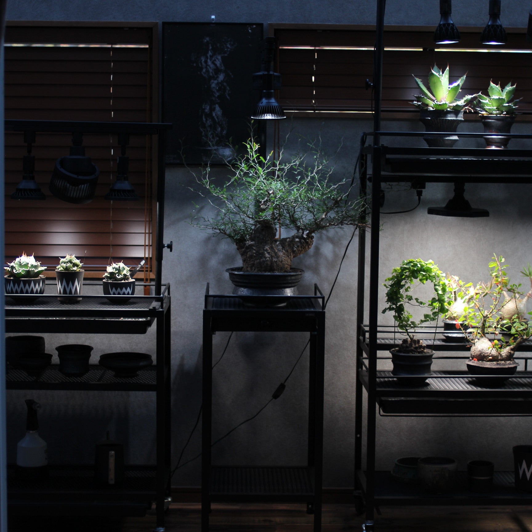 DISPLAYSTAND　～ディスプレイスタンド～