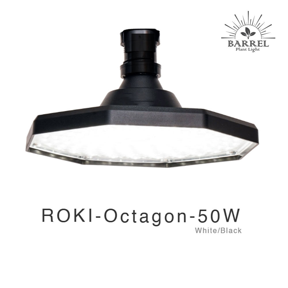 ROKI-OCTAGON-50W