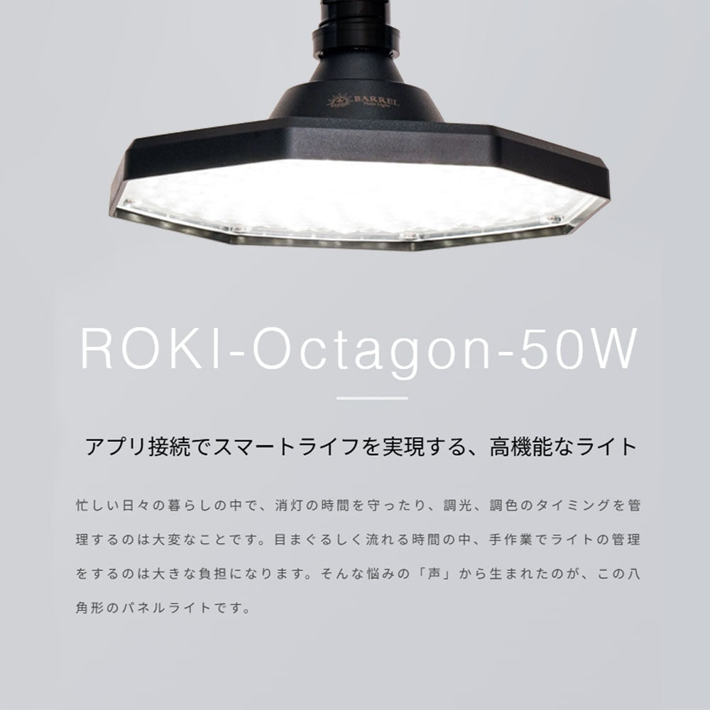 ROKI-OCTAGON-50W