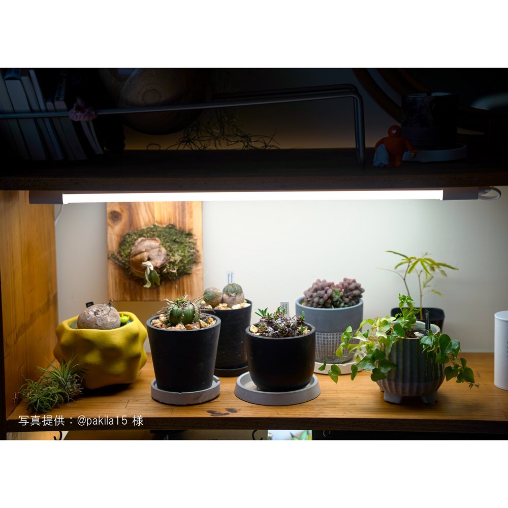 【SHELF GROW SLIM】植物育成ライト LED 薄型スリム 室内育成用照明