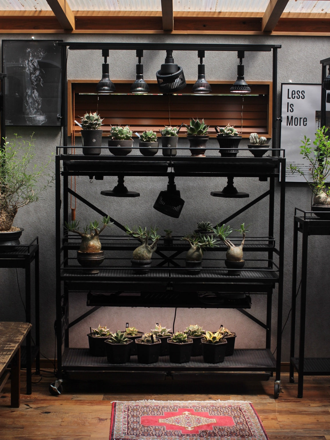 植物棚と育成ライトに囲まれたLIM IRON CRAFTの植物管理空間