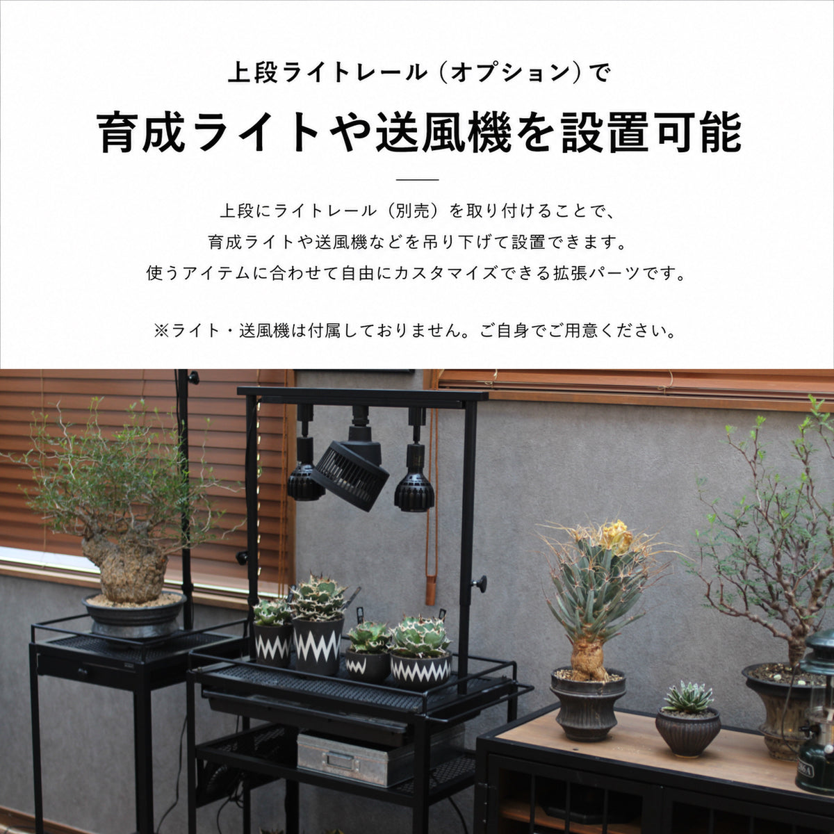 水受けトレー付コンパクト植物棚